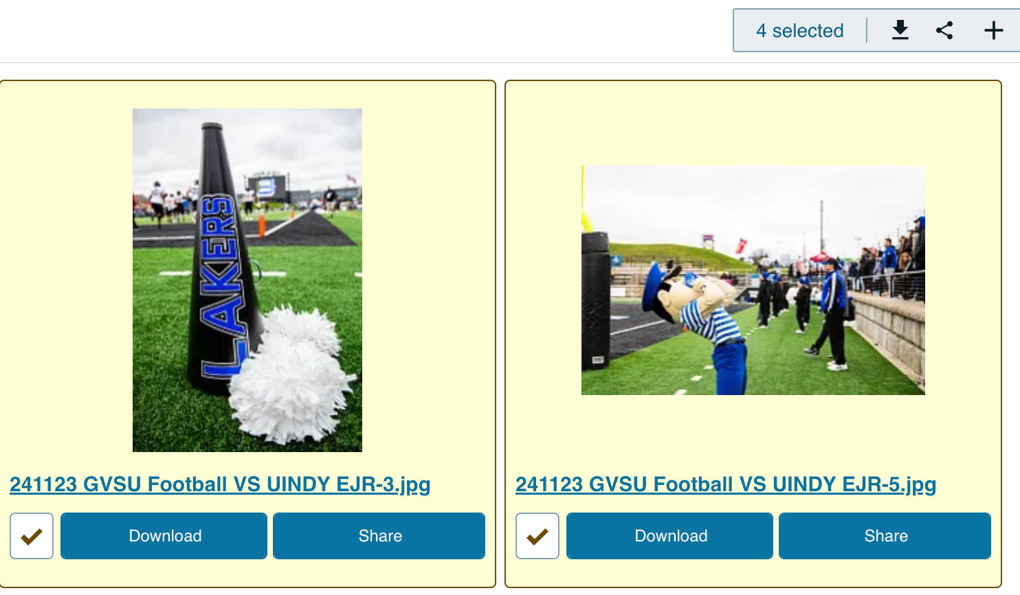 Image of multiple photos being downloaded at once in Widen